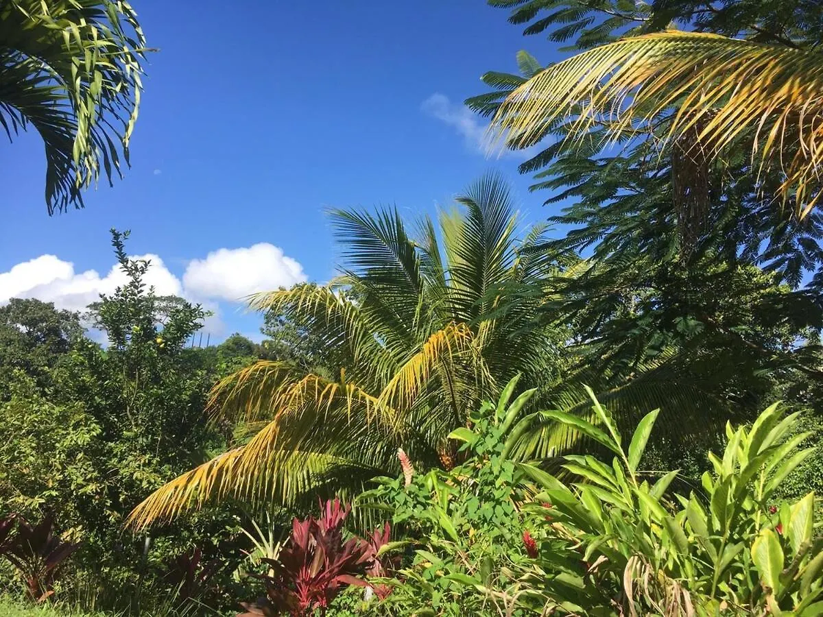 Ak 101 - L'Oceane By Alianskaraib Apartment Riviere-Salee 0*,  Martinique